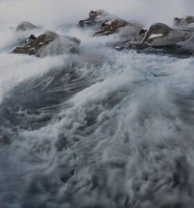 Лебединое озеро